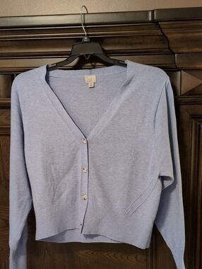 Light Blue Women's V-Neck Button Cardigan